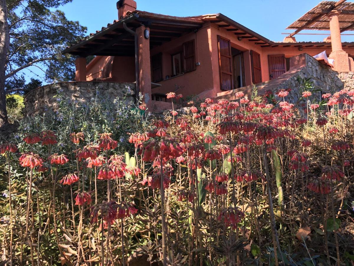 Casa Diana Bed & Breakfast Giannutri Exterior photo