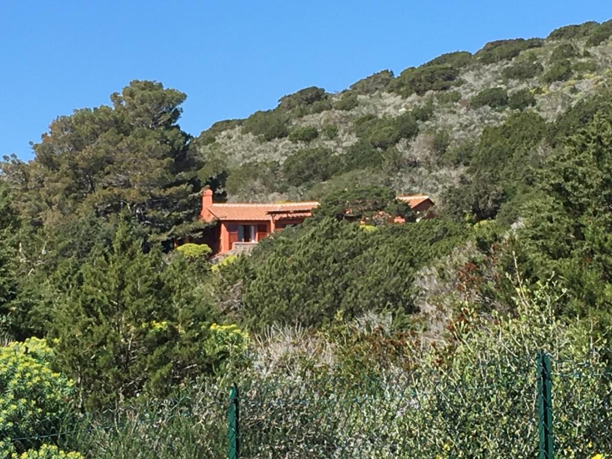 Casa Diana Bed & Breakfast Giannutri Exterior photo
